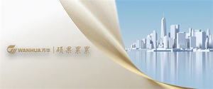 榮耀時(shí)刻！萬(wàn)華節(jié)能科技煙臺(tái)公司榮獲“中國(guó)聚氨酯制品行業(yè)十強(qiáng)企業(yè)”稱謂（墻裂推薦）